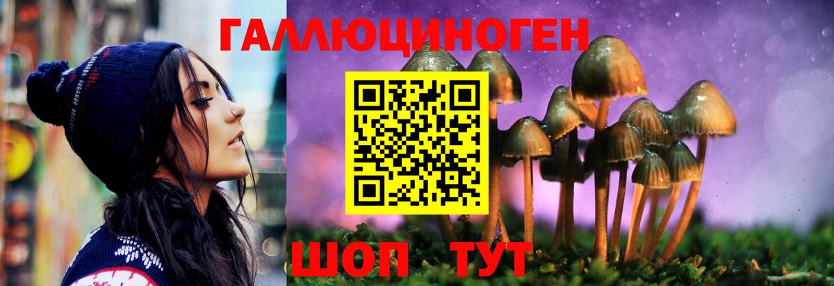 Псилоцибиновые грибы Psilocybe  Галлюциногенные грибы Psilocybe  Вход с VPN  что такое   Сызрань 